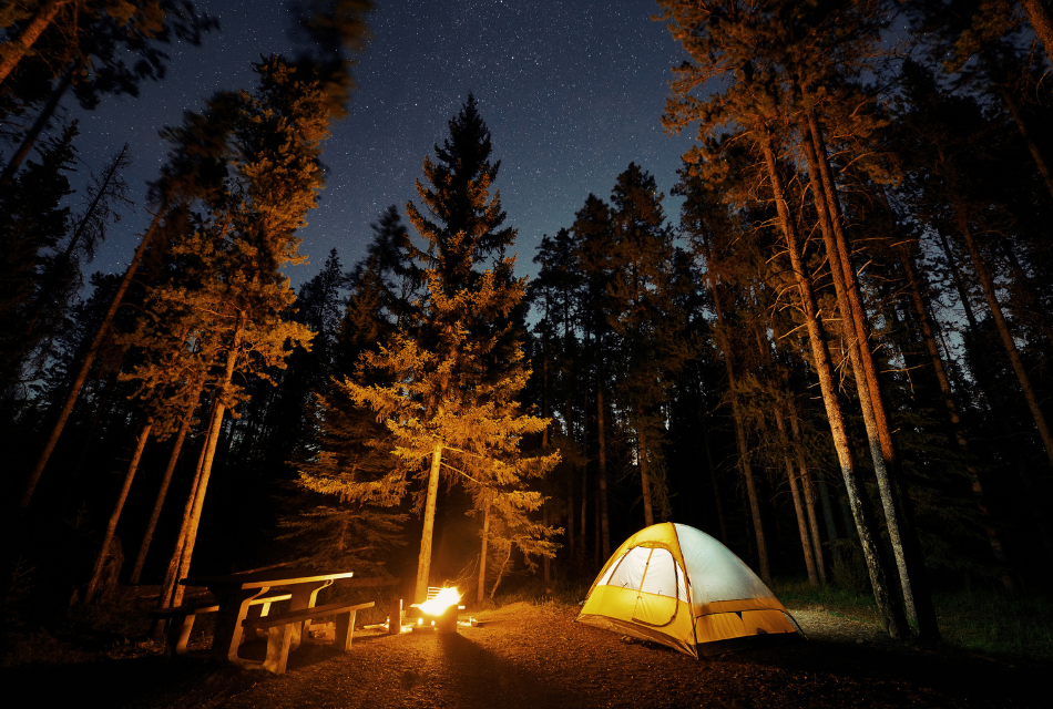 Top Winter Camping Spots in NSW